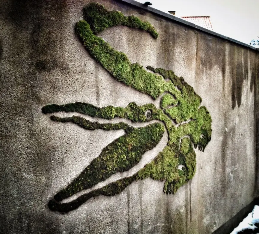 Moss Graffiti / Auberive / 17h30